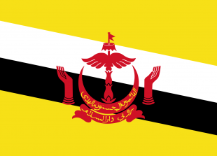 Flag_of_Brunei.svg