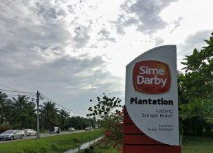 sime-darby-plantation