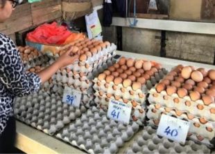 egg prices
