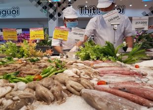 yellow-card-causes-big-losses-to-vietnam-s-seafood-exports-to-eu