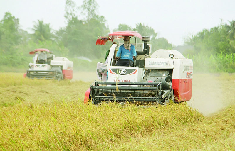 surpassing-thailand-vietnam-becomes-no-2-rice-exporter-in-the-world