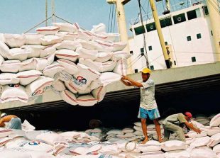 vietnam-s-rice-exports-to-eu-sell-at-good-prices