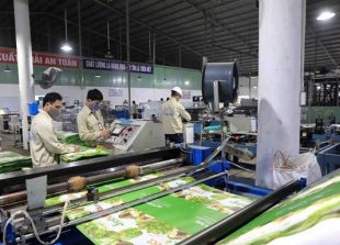 vietnam-boasts-huge-opportunities-to-attract-foreign-investment-wb-official