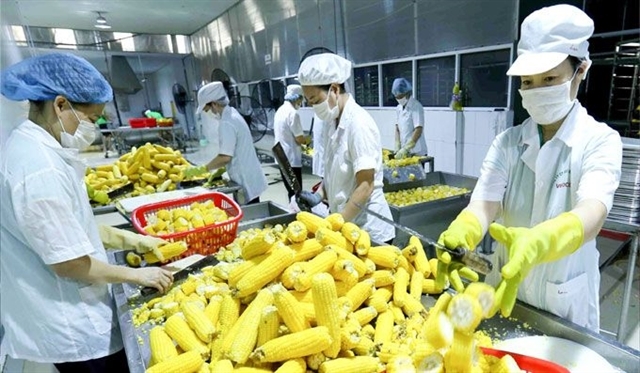 rcep-offers-opportunity-to-expand-vietnamese-agricultural-exports