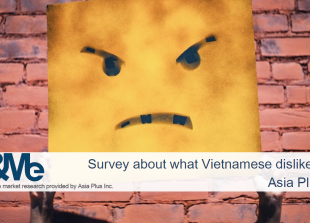 Survey about what Vietnamese dislike - Asia plus Inc