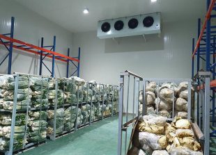 vietnam-faces-shortage-of-cold-storage-warehouses