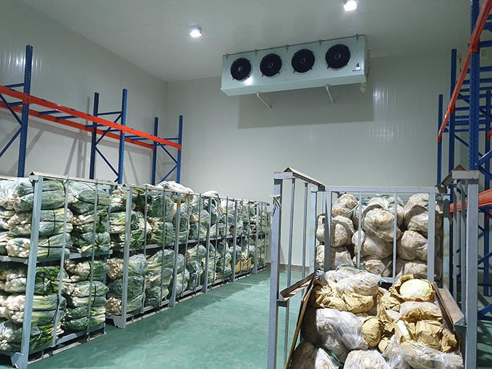 vietnam-faces-shortage-of-cold-storage-warehouses