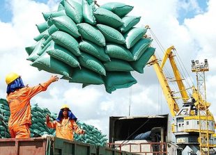 vietnam-likely-to-rank-third-in-global-rice-exports-in-2022