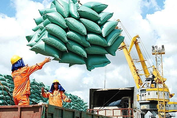 vietnam-likely-to-rank-third-in-global-rice-exports-in-2022