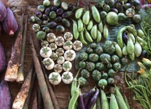 Fruit-and-vegetable-produce-in-Laos-696x364