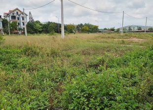 garden-agricultural-land-attracts-more-investors