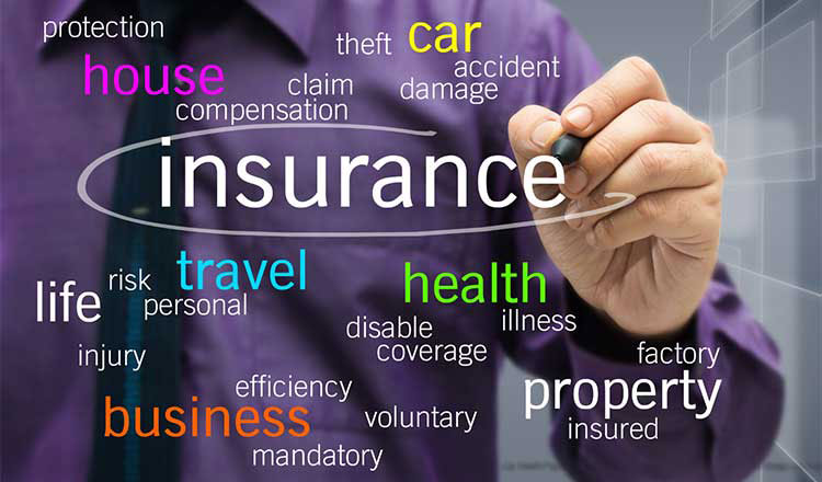 insurance-sector13344