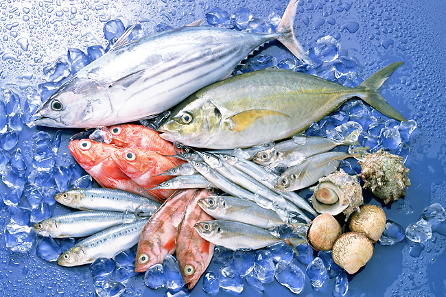 Fresh Fish and Sea Food