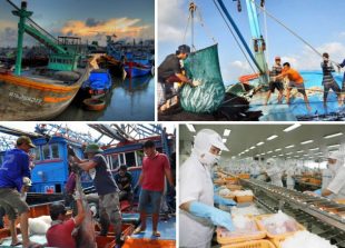 vietnam-becomes-worlds-third-largest-seafood-exporter-5adb9bb101524dccb420faad4de094f1